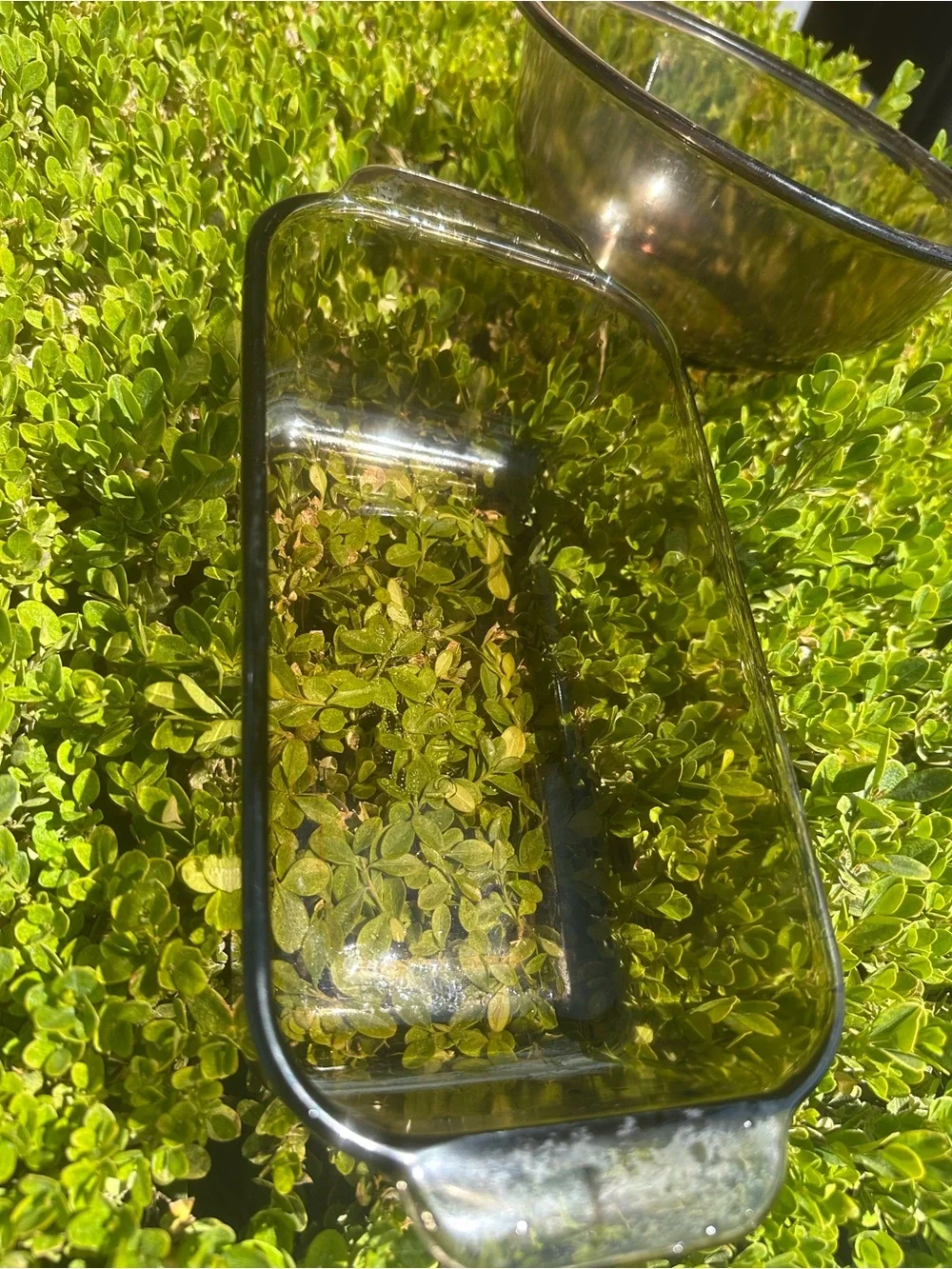 Pyrex Amber Glass Mixing Bowl and Rectangular Dish Set